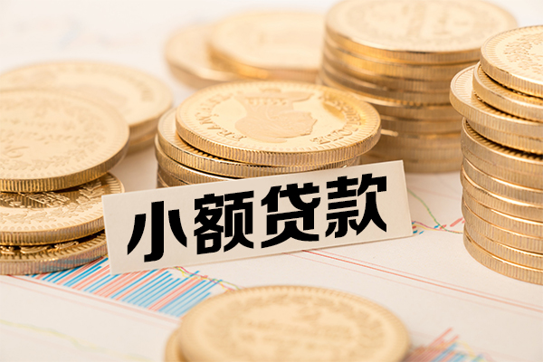 东莞信借信用贷款-东莞信借空放私借民间借贷-东莞信借小额贷款不查征信